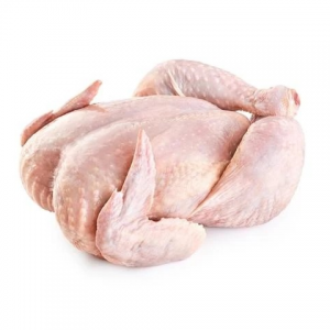 FULL HARD-BODY CHICKEN